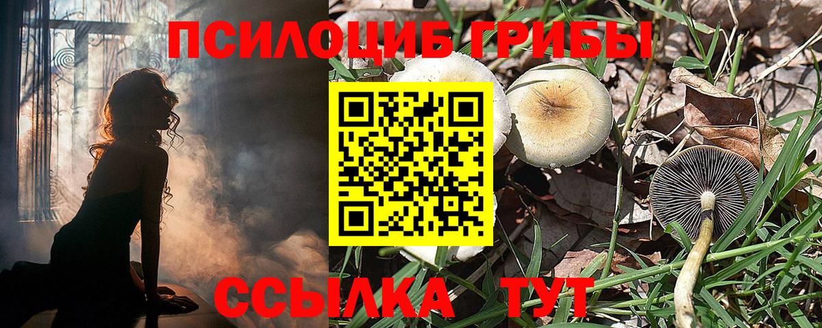 как найти закладки  Псилоцибиновые грибы мухоморы  Вход с VPN  Чехов 